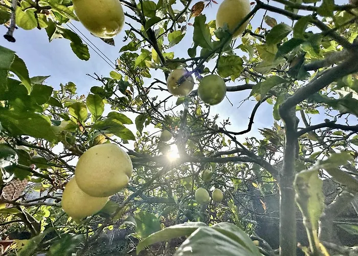 公寓 Currina - 7801